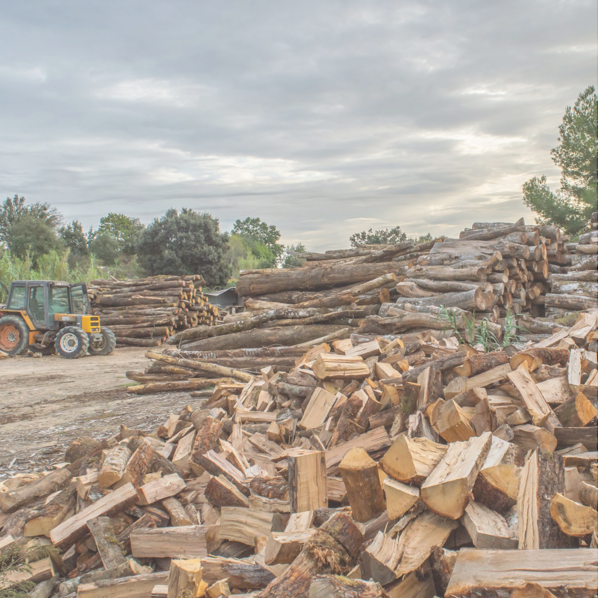 Bois de chauffage dans l'Hérault